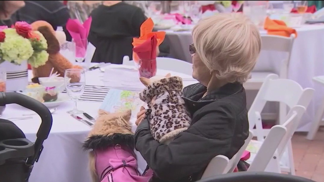 Dining with dogs? Ordinance would allow dogs inside Chicago restaurants