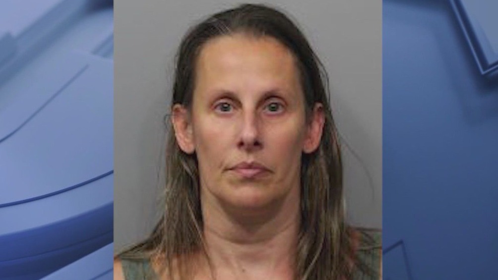 Former Arlington Heights school nurse sentenced for mismanaging student medications